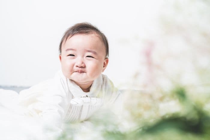 ギャラリー画像サムネイル 8