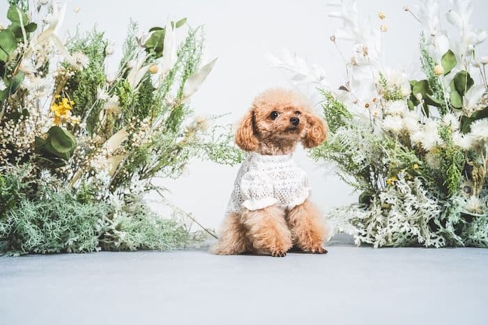 ギャラリー画像サムネイル 2