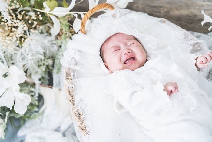 ギャラリー画像サムネイル 14