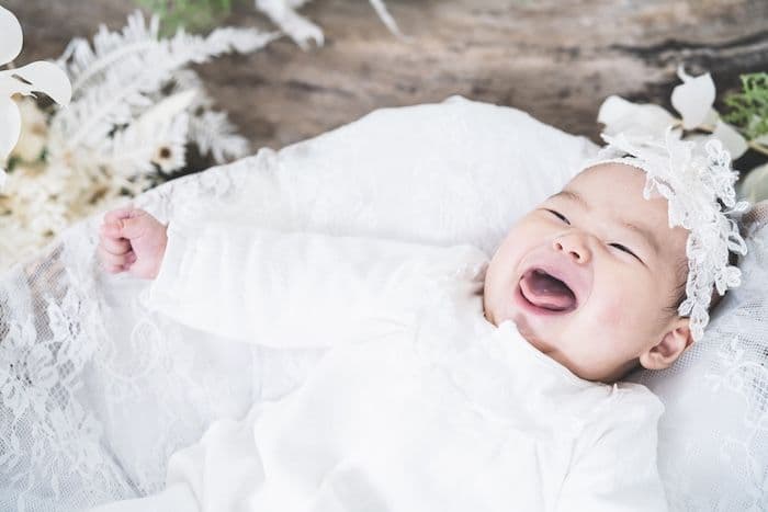 ギャラリー画像サムネイル 13