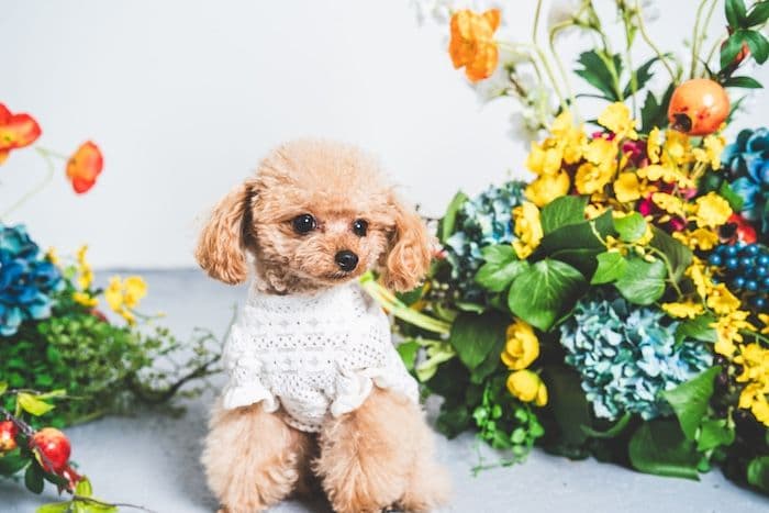 ギャラリー画像サムネイル 3