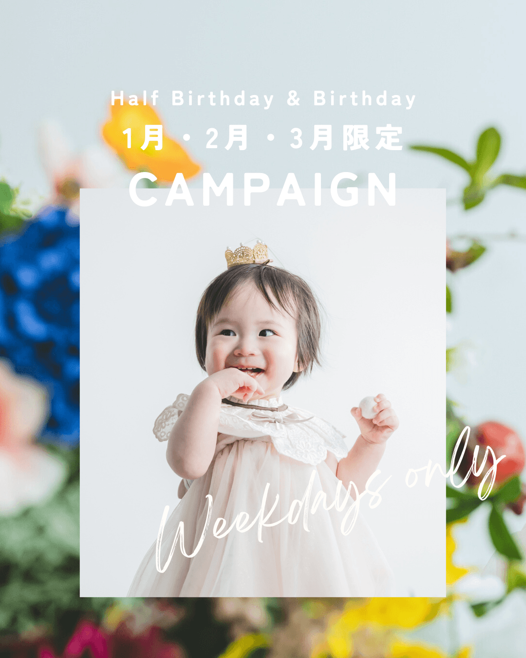 ハーフバースデーキャンペーン