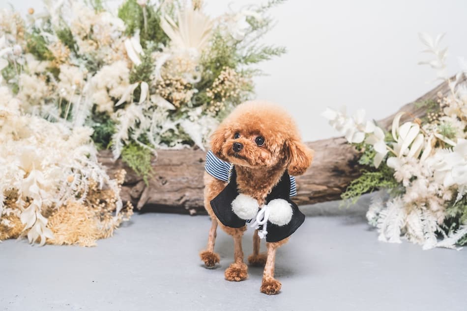 ギャラリー画像サムネイル 6