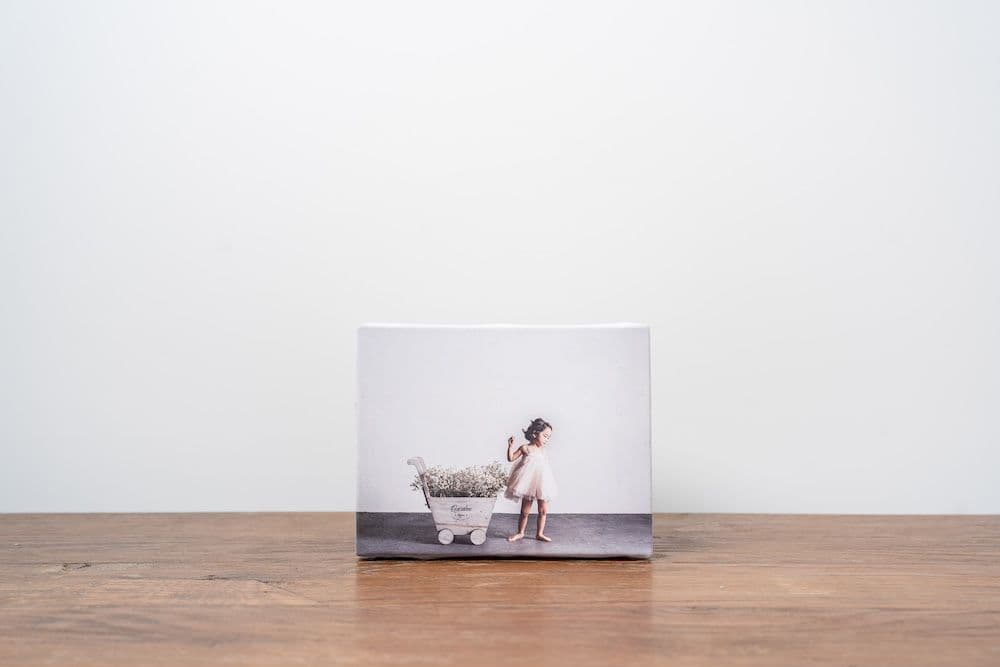 キャンバスフォト(小)の商品イメージ